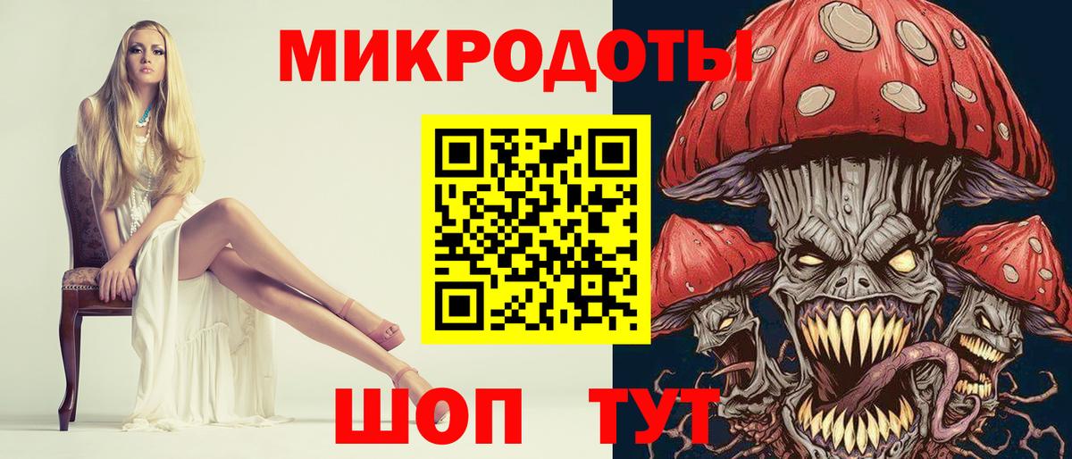Псилоцибиновые грибы Cubensis Краснознаменск