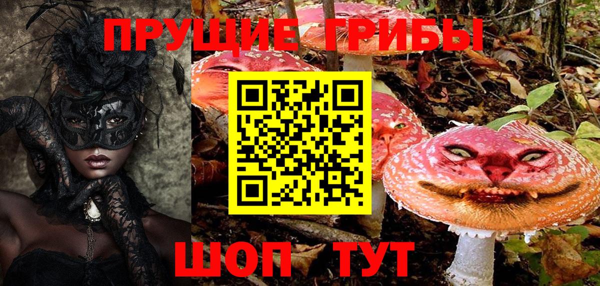 Краснознаменск  Галлюциногенные грибы Magic Shrooms  Вход с VPN 