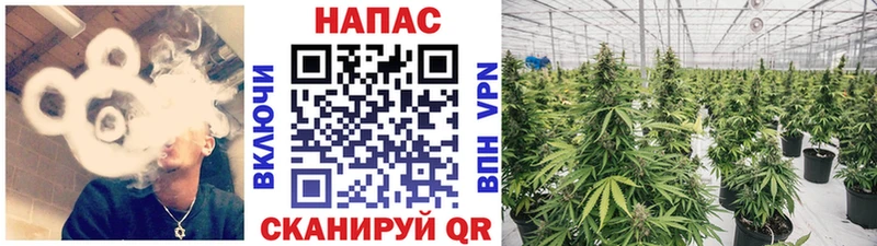 Марихуана ГИДРОПОН  цена наркотик  Краснознаменск 